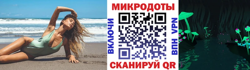 дарнет шоп  Бавлы  Псилоцибиновые грибы Psilocybine cubensis 